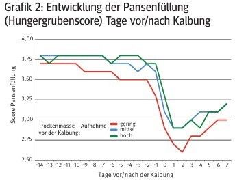 Entwicklung Pansenfüllung.jpg © Archiv