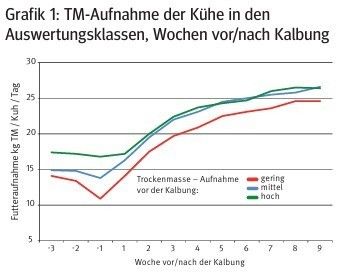 TM Aufnahme.jpg © Archiv