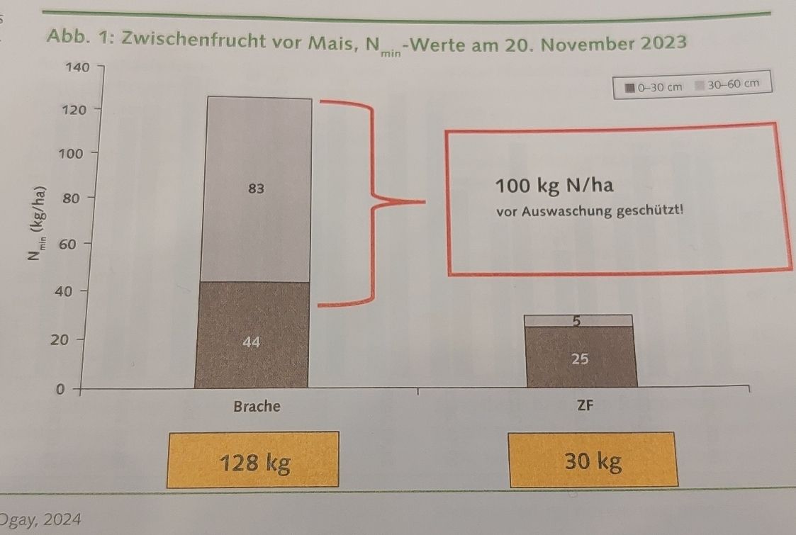 ZWF-Versuch.jpg © Ogay, 2024