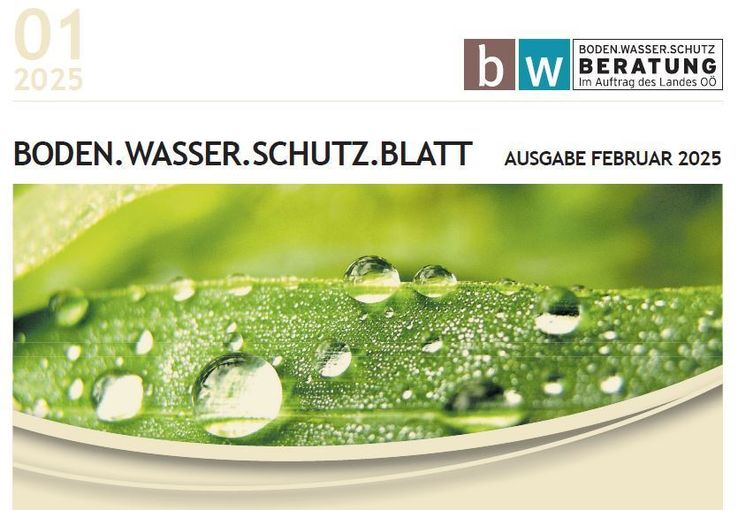 BODEN_WASSER_SCHUTZ_BLATT.jpg © LK OÖ