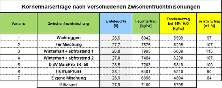 Tabelle 1_Körnermaiserträge nach verschiedenen Zwischenfruchtvarianten.jpg © BWSB/Lang Tabelle 1_Körnermaiserträge nach verschiedenen Zwischenfruchtvarianten.jpg © BWSB/Lang
