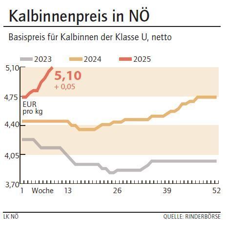 Grafik Kalbinnenpreis 9_2025.jpg © LK NÖ Grafik Kalbinnenpreis 9_2025.jpg © LK NÖ