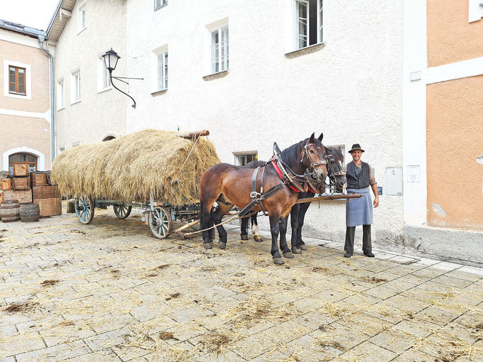 Das Feuer für traditionelles Arbeiten mit   Pferden brennt .jpg © Archiv