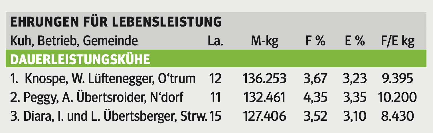 Neuer Obmann übernimmt das Ruder beim VFS.png © Hatheier