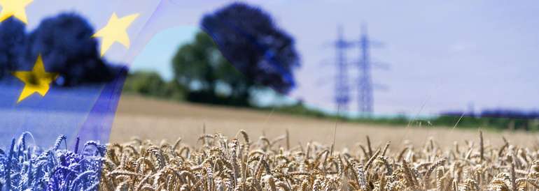 Landwirtschaft.jpg © stock.adobe.com Landwirtschaft.jpg © stock.adobe.com