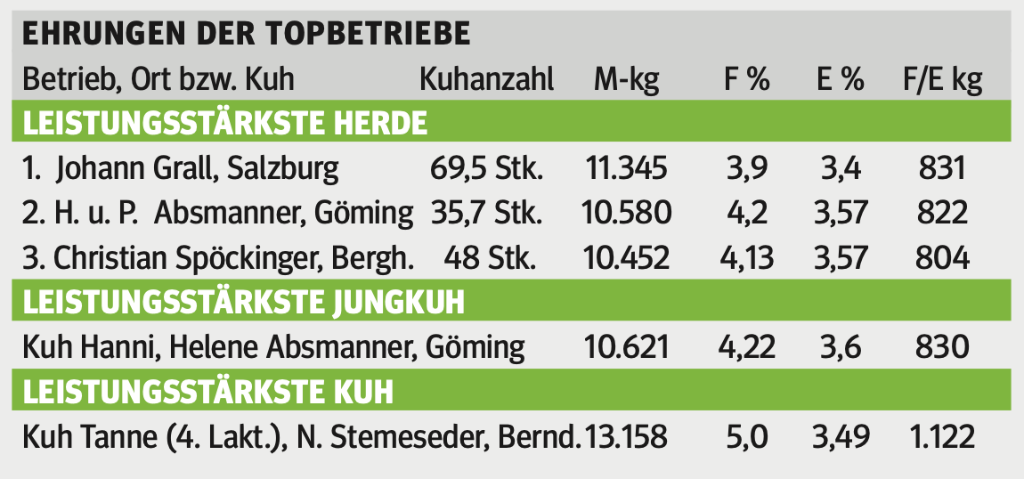 Neuer Obmann übernimmt das Ruder beim VFS.png © Archiv