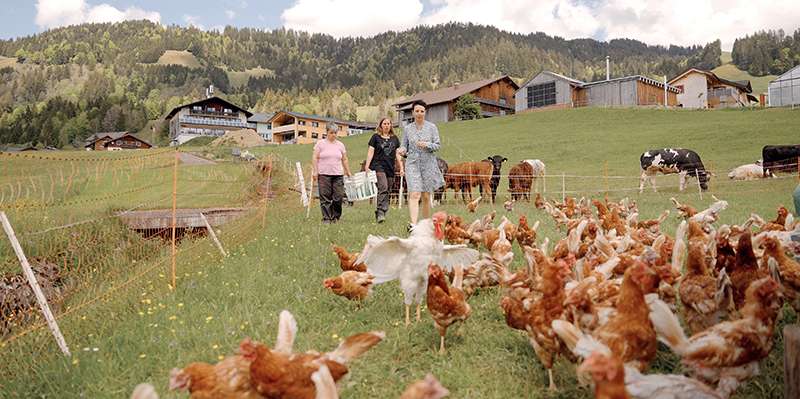 Urlaub am Bauernhof.jpg © Urlaub am Bauernhof