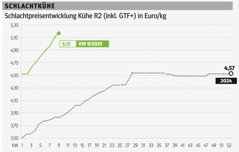 Schlachtkuhgrafik KW 9.png © Grafik RZV