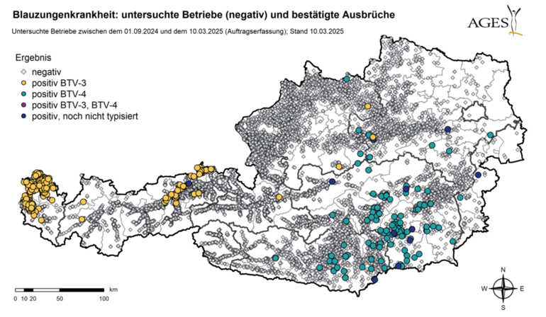 Aktuelle Ausbrüche Stand 10.03.2025.png © AGES