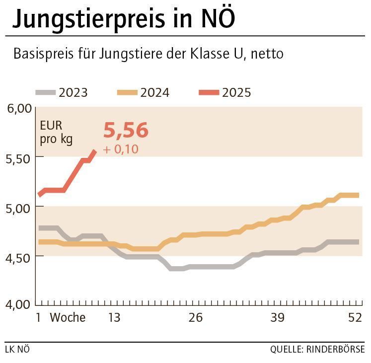 Grafik Stierpreis 10_2025.jpg © LK NÖ Grafik Stierpreis 10_2025.jpg © LK NÖ