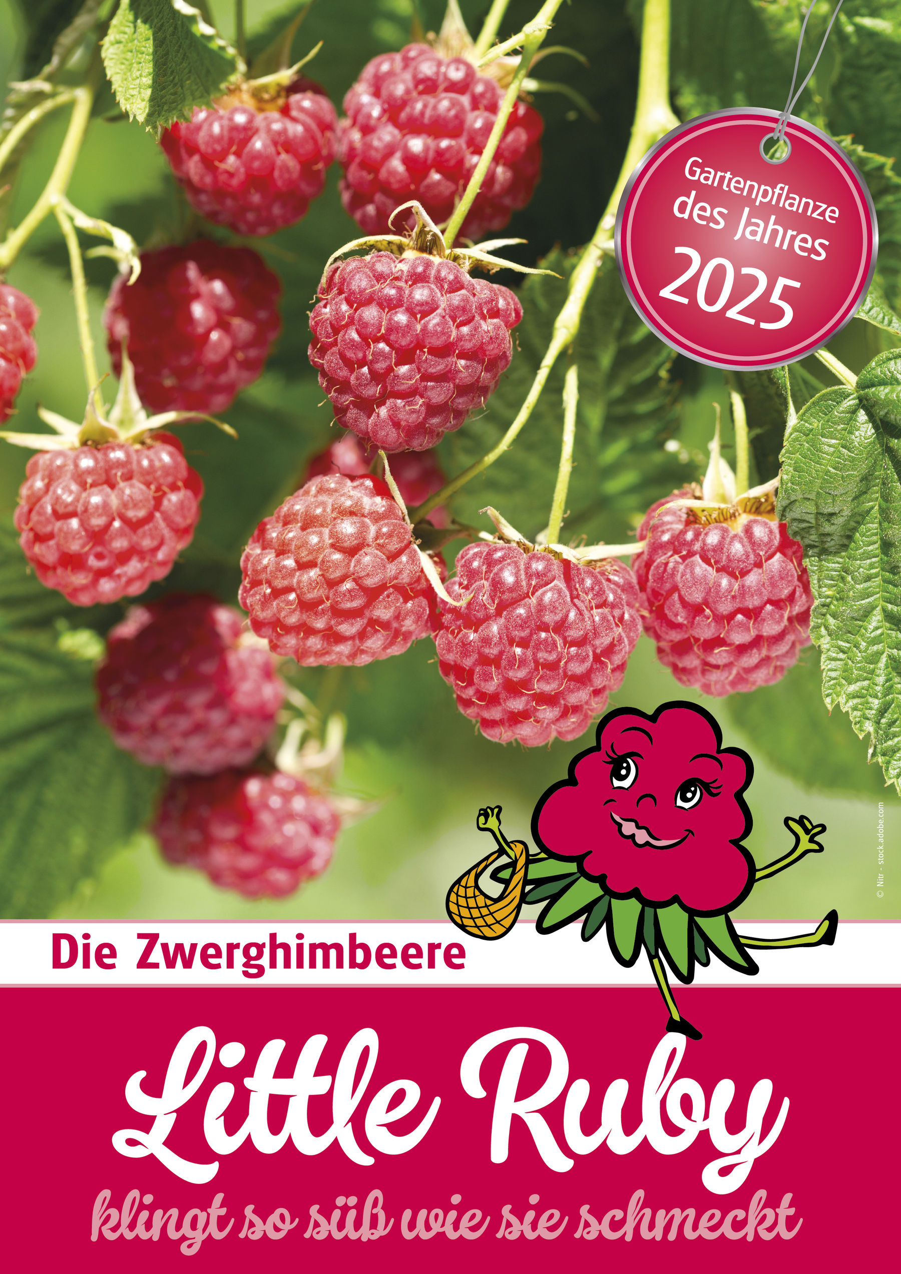 A4sujet_gartenpflanze2025_littleruby.jpg © Salzburger Gärtner und Gemüsebauern