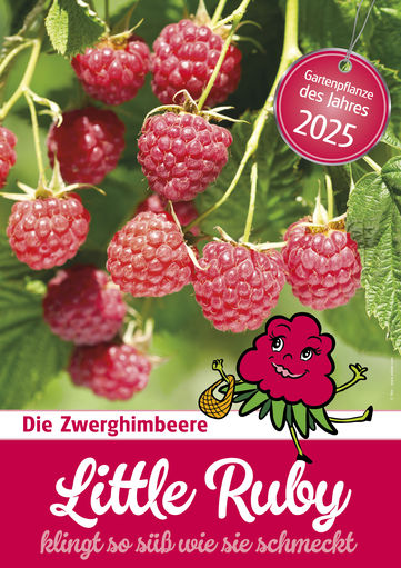 A4sujet_gartenpflanze2025_littleruby.jpg © Salzburger Gärtner und Gemüsebauern