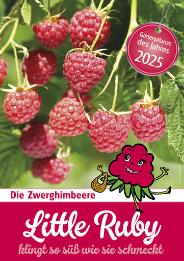 A4sujet_gartenpflanze2025_littleruby.jpg © Salzburger Gärtner und Gemüsebauern A4sujet_gartenpflanze2025_littleruby.jpg © Salzburger Gärtner und Gemüsebauern