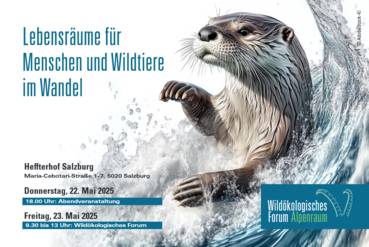 Screenshot Wildökologisches Froum Alpenraum.png © Foto: Adobestock/KI für LK Salzburg und BOKU