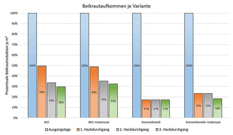 Untersaaten im Maisanbau bringen  einige Vorteile.jpg © Innovation Farm Untersaaten im Maisanbau bringen  einige Vorteile.jpg © Innovation Farm