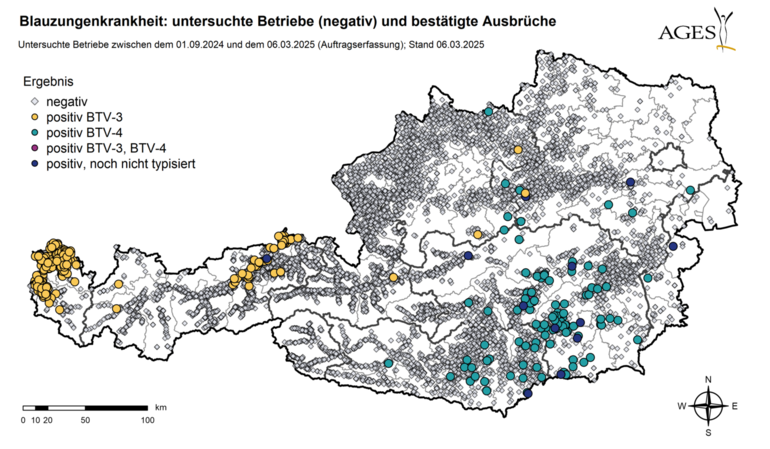 Blauzungen-Üeberwachung 2025.png © AGES