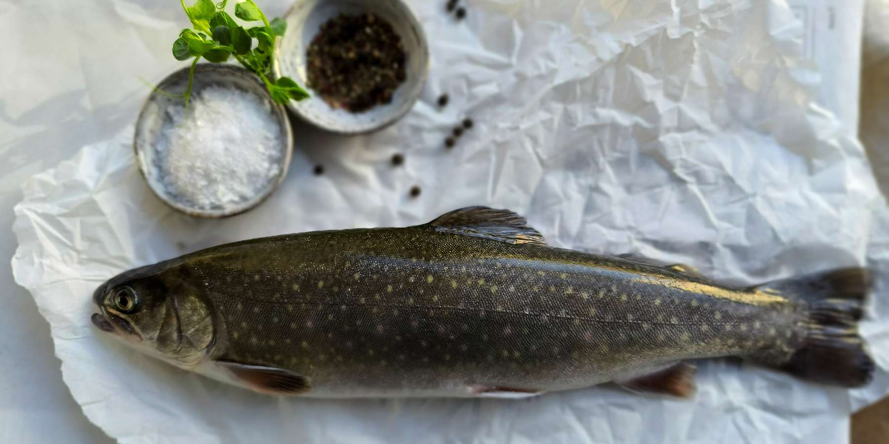 Fisch in der Fastenzeit (c) Daniela Zimmermann.jpg © Daniela Zimmermann/LK NÖ Fisch in der Fastenzeit (c) Daniela Zimmermann.jpg © Daniela Zimmermann/LK NÖ