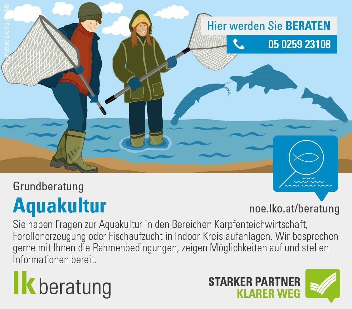 Grundberatung Aquakultur.jpg © Archiv