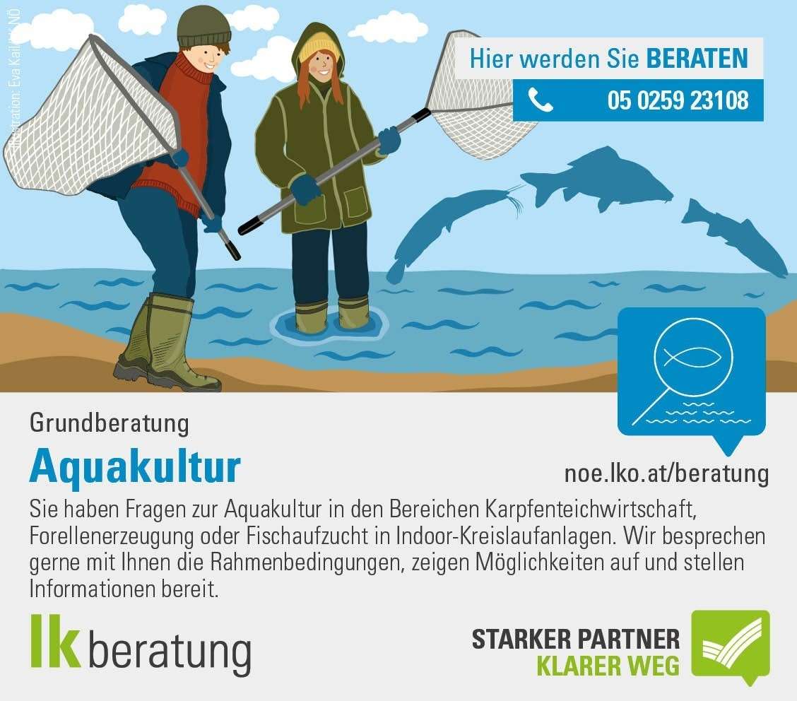 Grundberatung Aquakultur.jpg © Archiv