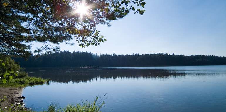 Teich Florian Kainz_Archiv Aqua Gaisbachteich (4).jpg © Florian Kainz/Archiv Aqua Teich Florian Kainz_Archiv Aqua Gaisbachteich (4).jpg © Florian Kainz/Archiv Aqua