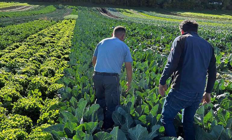 Zachhalmel 2.jpg © Zachhalmel Zachhalmel 2.jpg © Zachhalmel