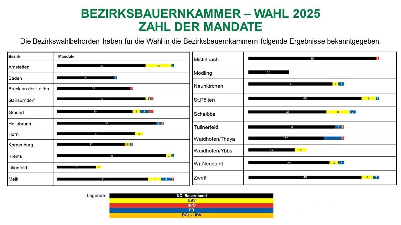 BBK-Wahl_2025.jpg © Landeswahlbehörde