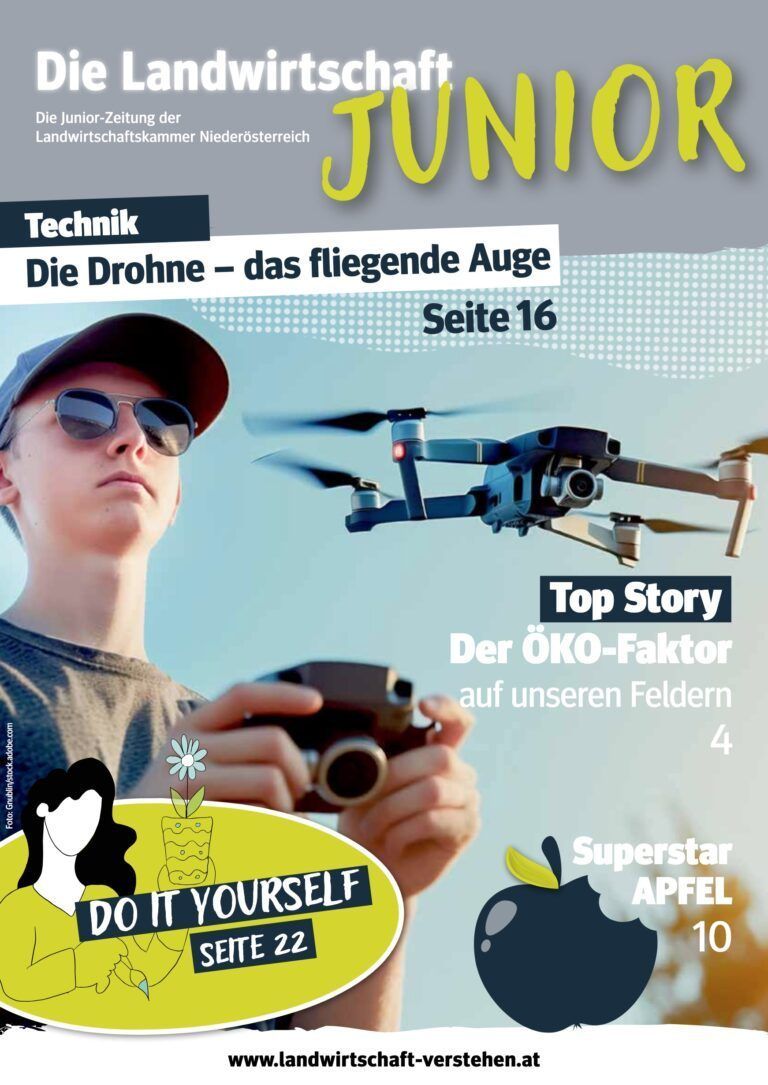 Jugendmagazin.jpg © LK NÖ Jugendmagazin.jpg © LK NÖ