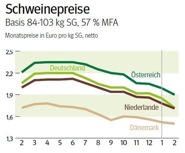 NÖ: Ausblick auf den Schweinemarkt im März 2025 © LK NÖ