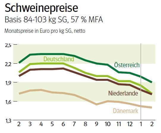 NÖ: Ausblick auf den Schweinemarkt im März 2025 © LK NÖ