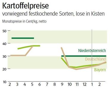 NÖ: Ausblick auf den Kartoffelmarkt im März 2025 © LK NÖ