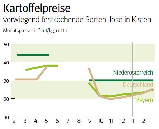 NÖ: Ausblick auf den Kartoffelmarkt im März 2025 © LK NÖ