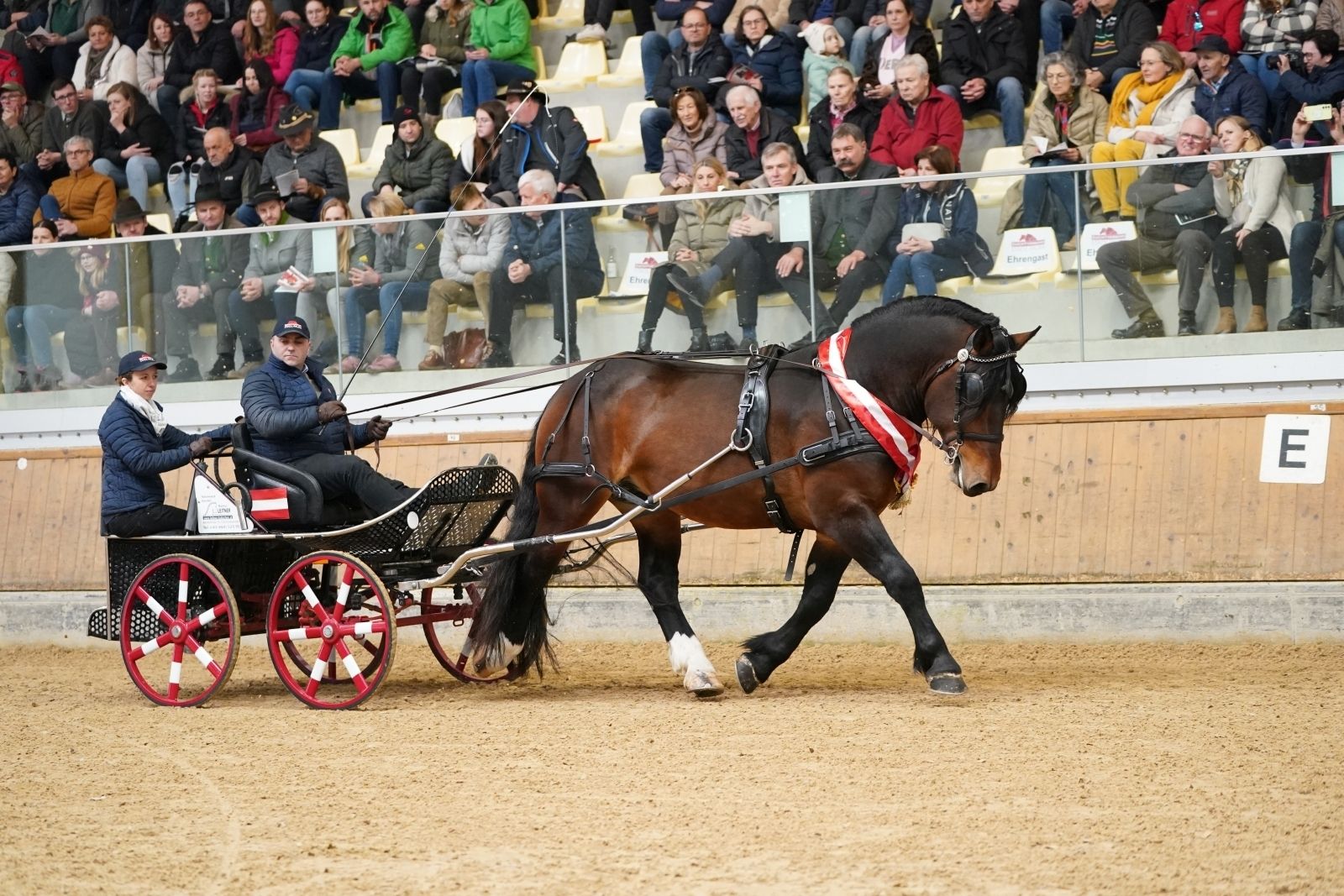 Hengstschau_c_fototeam.eu.jpg © fototeam.eu Hengstschau_c_fototeam.eu.jpg © fototeam.eu