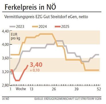 Grafik Ferkelpreis 11_2025.jpg © LK NÖ Grafik Ferkelpreis 11_2025.jpg © LK NÖ