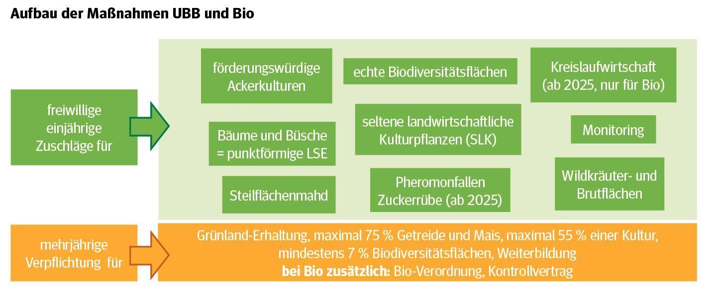 Aufbau der Maßnahmen UBB und Bio.jpg © LK Niederösterreich