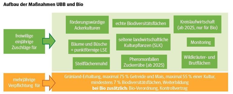 Aufbau der Maßnahmen UBB und Bio.jpg © LK Niederösterreich