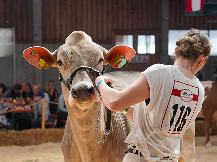 Bundesjungzüchterchampionat .jpg © Alena Feuerstein