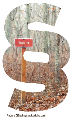 Steige.png © Andrea DiSavino/stock.adobe.com Steige.png © Andrea DiSavino/stock.adobe.com