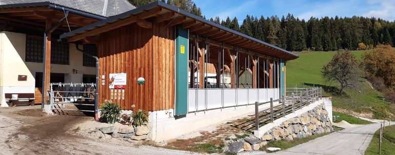Moser-Bergmilchvieh1 (002).jpg © EIP Moser-Bergmilchvieh1 (002).jpg © EIP