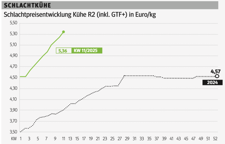 Schlachtkuhgrafik KW 11.png © Grafik RZV