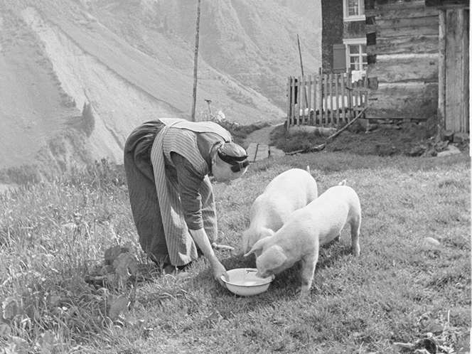 Landwirtschaft früher.jpg © Sammlung Risch-Lau, Vorarlberger Landesbibliothek