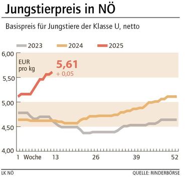 Grafik Stierpreis 12_2025.jpg © LK NÖ Grafik Stierpreis 12_2025.jpg © LK NÖ