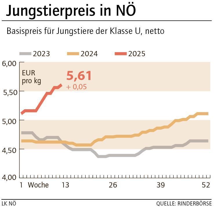 Grafik Stierpreis 12_2025.jpg © LK NÖ Grafik Stierpreis 12_2025.jpg © LK NÖ