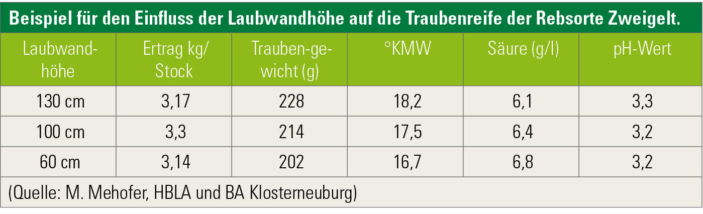 Beispiel für den Einfluss der Laubwandhöhe.png © Österreichischer Weinbauverband