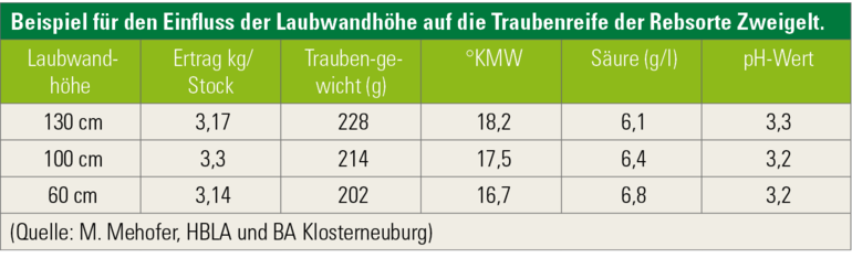 Beispiel für den Einfluss der Laubwandhöhe.png © Österreichischer Weinbauverband