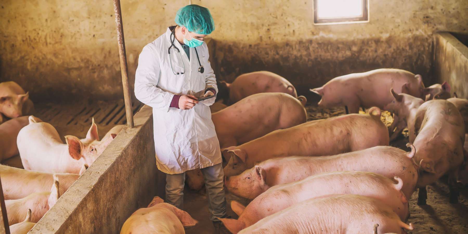 Titelfoto_Nutztierarzt_stock.adobe.jpg © stock.adobe.com Titelfoto_Nutztierarzt_stock.adobe.jpg © stock.adobe.com