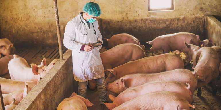 Titelfoto_Nutztierarzt_stock.adobe.jpg © stock.adobe.com Titelfoto_Nutztierarzt_stock.adobe.jpg © stock.adobe.com