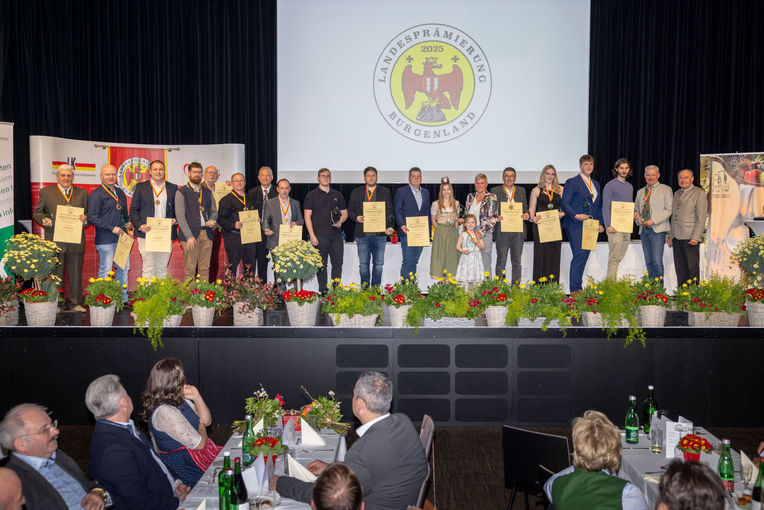 © Archiv © Archiv