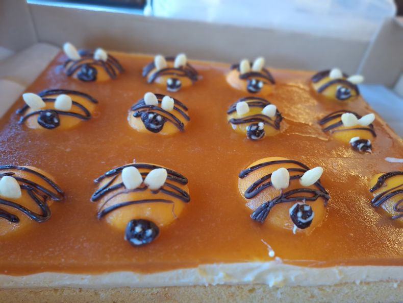 Tag der Bäuerin 19. März 2025.jpg Tag der Bäuerin 19. März 2025.jpg