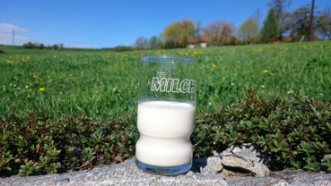 Bild 1 Milchglas.png © LK OÖ Bild 1 Milchglas.png © LK OÖ