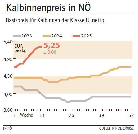 Grafik Kalbinnenpreis 13_2025.jpg © LK NÖ Grafik Kalbinnenpreis 13_2025.jpg © LK NÖ